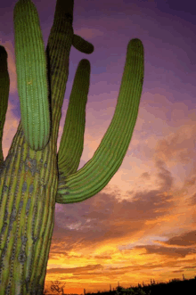 Desert Desertsky GIF - Desert Desertsky Sky GIFs
