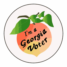im a georgia voter georgia voter vote georgia georgia ga