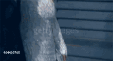 a woman in a white dress is walking down a set of stairs