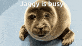 Sad Jaggy GIF - Sad Jaggy Busy Jaggy GIFs