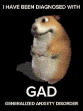 a picture of a hamster with the words " i have been diagnosed with gad generalized anxiety disorder " on it
