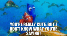 Nemo Finding GIF - Nemo Finding GIFs