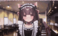 a maid with a cat ear headband stands in a room