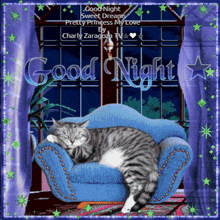 Good Night Kitty GIF - Good Night Kitty GIFs
