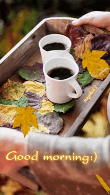 Good Morning Good Day GIF - Good Morning Good Day Coffee GIFs