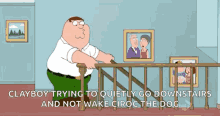 fall falling pain comedy peter griffin