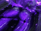 a close up of a purple object that looks like a purple galaxy