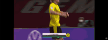 Haaland Erling GIF - Haaland Erling Borussia Dortmund GIFs