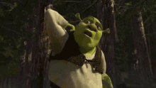 orc itchy shrek shrek2 puss in boots