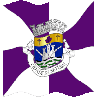 a purple and white flag with a coat of arms that says cidade de setubal