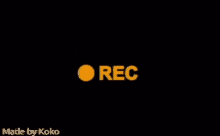 Koko Krunch69 Made By Koko Krunch GIF - Koko Krunch69 Made By Koko Krunch Swaggapino GIFs