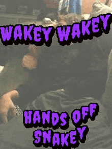 Wakey Wakey Hands Off Snakey GIF - Wakey Wakey Hands Off Snakey Hands Off GIFs