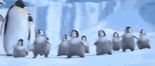 Happy Feet Penguins GIF - Happy Feet Penguins Dance GIFs