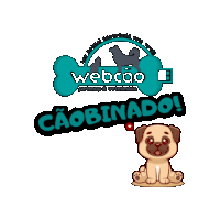 Caobinado Webcaopetshop Sticker - Caobinado Webcaopetshop Petshop Stickers