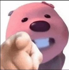 a person is pointing at a pink teddy bear with a fist .