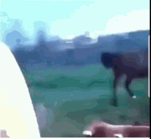 Horse Kick GIF - Horse Kick Fake GIFs
