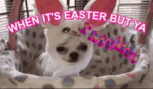 Funny Easter Ratchet GIF