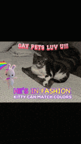 a cat laying on a bed with the words gay pets luv u on top