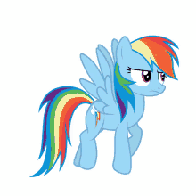 Rainbow Dash My Little Pony GIF - Rainbow Dash My Little Pony Rainbow GIFs