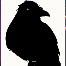 Raven Crow GIF - Raven Crow The GIFs