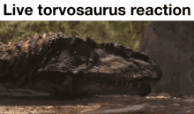 dinosaurs dinosaur meme dinosaur revolution torvosaurus allosaurus