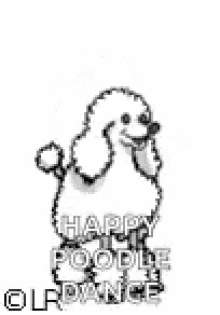 Happy Poodle Dance Excited GIF - Happy Poodle Dance Excited Jump GIFs