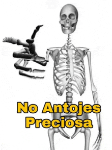 a skeleton giving a peace sign with the words no antojes preciosa written below it