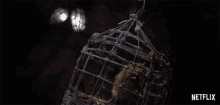 Trapped Cage GIF - Trapped Cage Bird GIFs