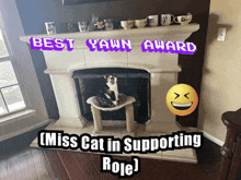 a cat sits on a cat tree in front of a fireplace with the words best yawn award written above it