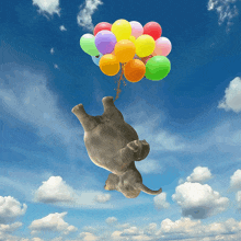 Elephant Heavylifting GIF - Elephant Heavylifting Balloons GIFs