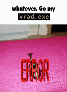 a picture of a bug on a pink rug that says error