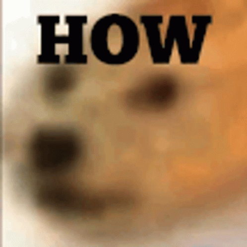 How Doge GIF - How Doge Howdoge GIFs