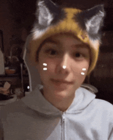 a person wearing a cat eared hat and a white hoodie