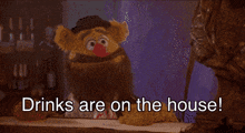 Muppet Movie Drinks On The House Shortest Version Fozzie Bear GIF