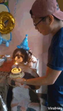 Birthday Dog Celebration GIF - Birthday Dog Celebration Birthday Cake GIFs