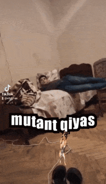 Mutantqiyas GIF - Mutantqiyas GIFs