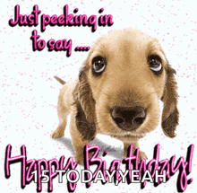 Happybirthday Dog GIF - Happybirthday Dog Tailwagging GIFs