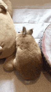 a small brown rabbit laying on a bed next to a stuffed animal