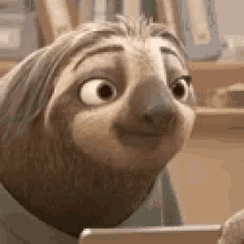 Sloth Reaction GIF