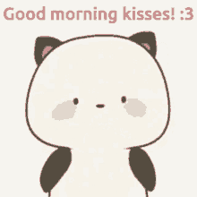 morning kiss love