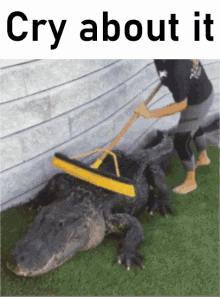 Cry About It Alligator GIF - Cry About It Alligator Broom GIFs