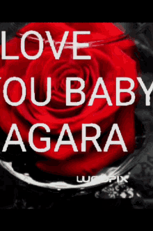I Love You Baby Sagara GIF - I Love You Baby Sagara GIFs