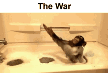 the war monkey bath bath time monke