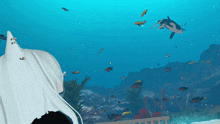 a computer generated image of a girl looking at a shark in an aquarium