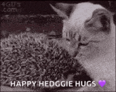 a cat is petting a hedgehog in a black and white photo with the words `` happy hedgegie hugs '' .