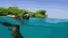 Sloth Lonely GIF - Sloth Lonely Swimming GIFs