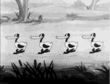 Mickey Mouse Ducks GIF - Mickey Mouse Ducks GIFs