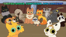 Unified Shock Confusion And Concern Shock GIF - Unified Shock Confusion And Concern Shock Confusion GIFs