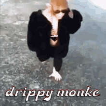 Pink Diamond Monkey Drippy Monkey GIF - Pink Diamond Monkey Drippy Monkey Crypto Gemology GIFs