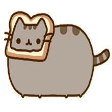 pusheen toast staring cat